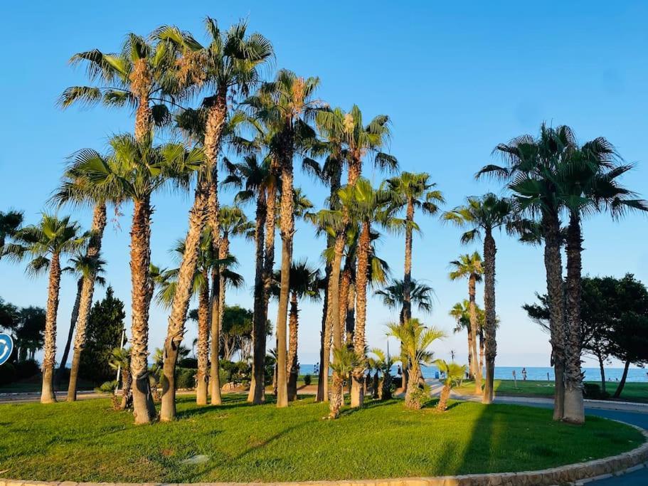 1 Linea, 2 Bedrooms Duplex, Sea View, 50 M From *